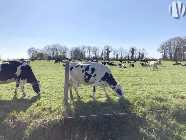 VENDEE. Melk 743.000 liter met uitstekende verkaveling