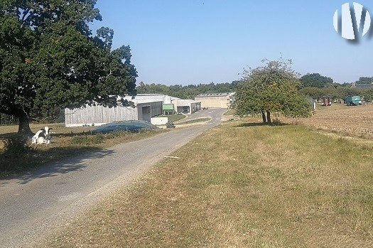 BRETAGNE. Good performance. Automated dairy farm on 130 hectares