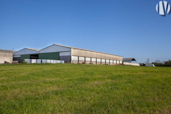 VENDEE. Very nice dairy farm on 120 hectares