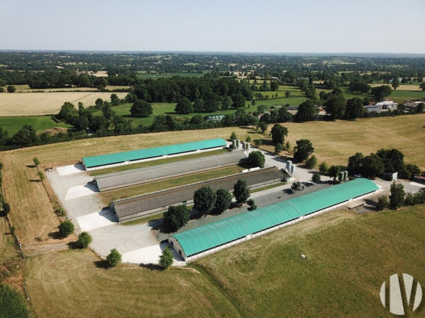 NORTH DEUX-SEVRES. Poultry 4200m² in integration, high profitability