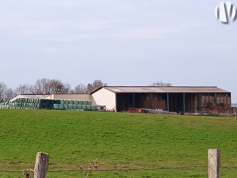 WEST LOIR ET CHER. Beautiful cattle farm registered in the Herd Book