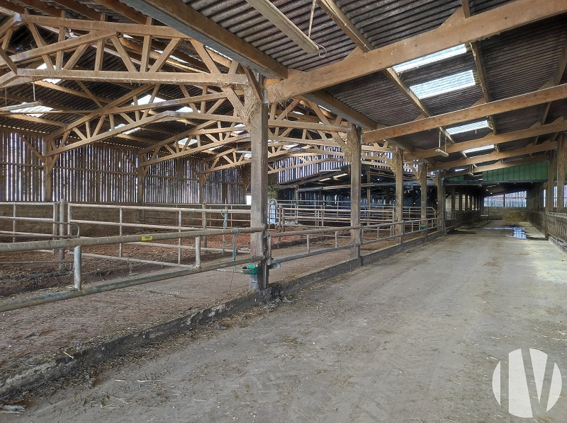 SOLD IN 2024 – MANCHE Dairy farm on 120 hectares