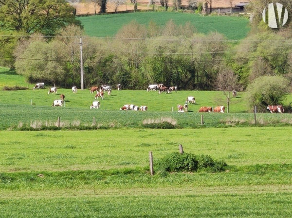 MAYENNE Mooi bedrijf van 530 000 melk op 88 hectare