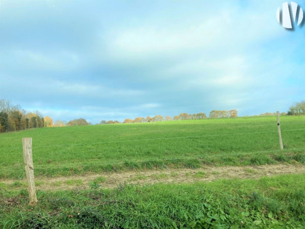 SOLD IN 2023. LOIRE ATLANTIQUE. Dairy farm with a grouped plot of land covering 70 hectares