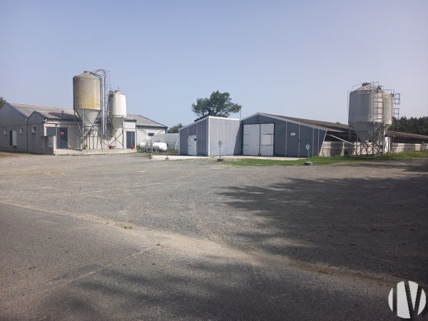 CÔTES D’ARMOR. Poultry farm covering 4200 m² and 25 hectares