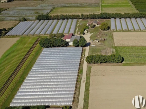 LOT ET GARONNE. Market garden farm covering 15 hectares