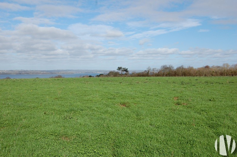 FINISTERE. Land investment 78 hectares