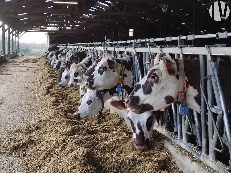 CÔTES D’ARMOR.  Milk 1.5 million litres in a dynamic sector