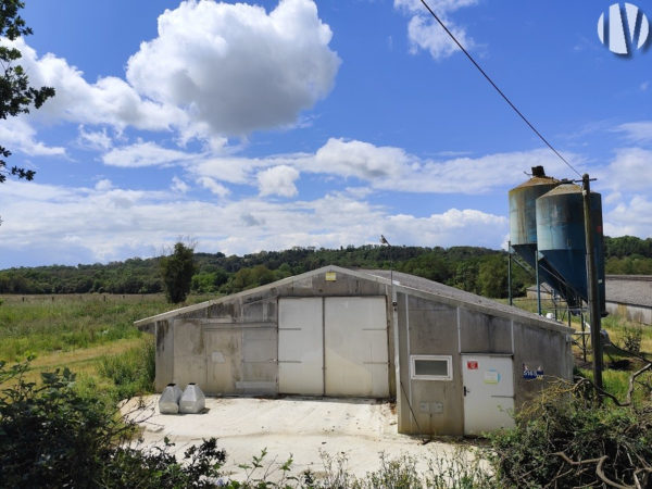 MORBIHAN. Poultry buildings approx. 1900m².