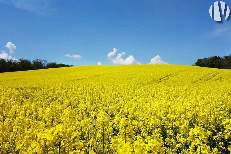 Dordogne. 120ha akkerbouwland in twee blokken