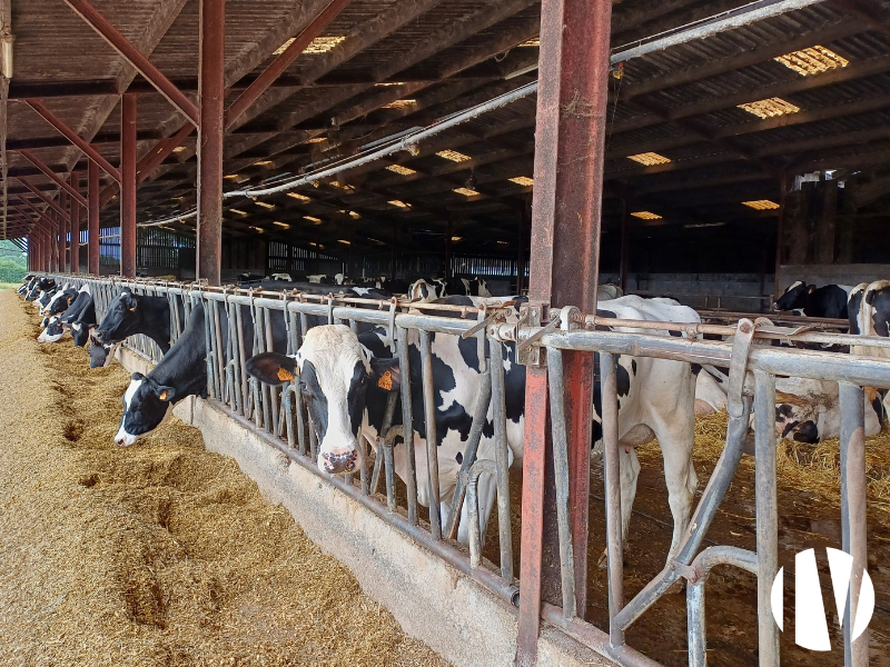 VENDEE. Mixed crop and dairy farm covering 230 hectares