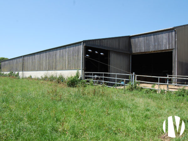 Finistère, Beautiful 1,200,000 L dairy farm with 120 ha of grazing land