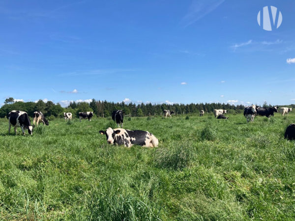 LOIRE ATLANTIQUE: Nice site for mixed farming on 80 ha