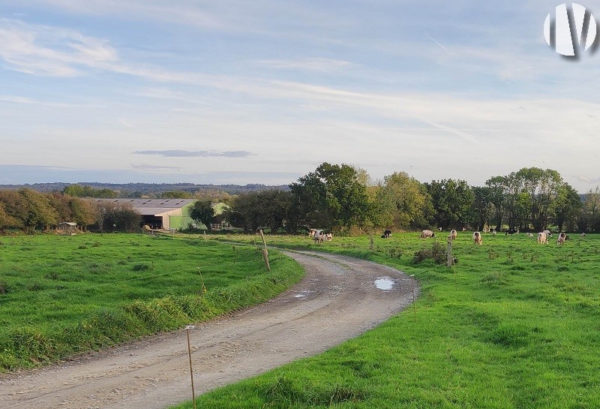 CENTRE MANCHE. Agrarisch bedrijf van 116 hectare, waarvan 105 hectare beschikbaar is voor aankoop