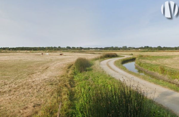 VENDEE. Groot landgoed met 220 hectare