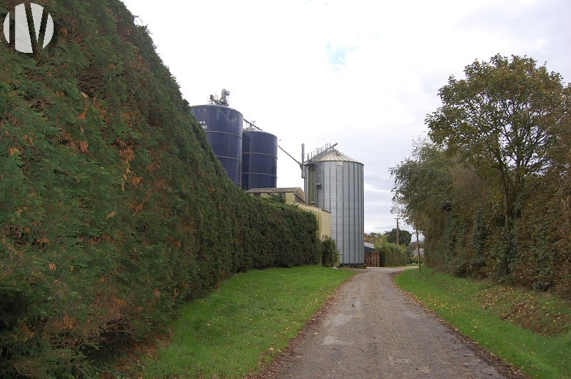 NORD FINISTERE. Exploitation porcine sur 145 hectares