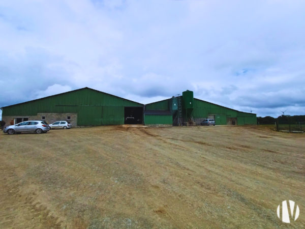 NORD MAYENNE. Très belle exploitation laitière, 1 000 000 de litres de lait sur 200 hectares