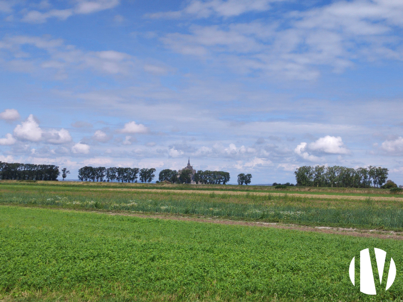 South of Manche organic field vegetables