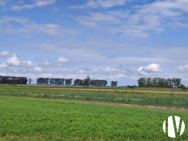 Zuid Manche biologische groenten in volle grond