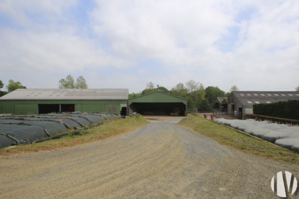 CÔTES D’ARMOR. Lait 669 000 litres sur 100 hectares, proche de la côte