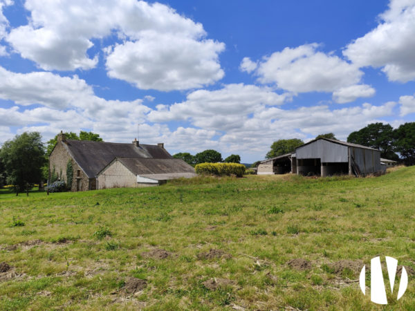 MORBIHAN- 25-hectare farm