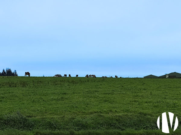 MORBIHAN, Exploitation laitière sur 84 hectares de SAU