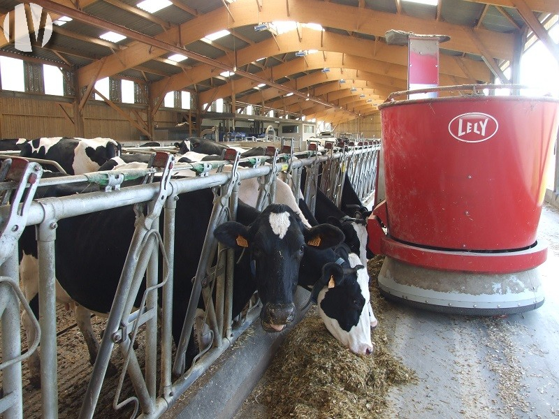 BRETAGNE. Belles prestations. Exploitation laitière automatisée sur 130 hectares - 