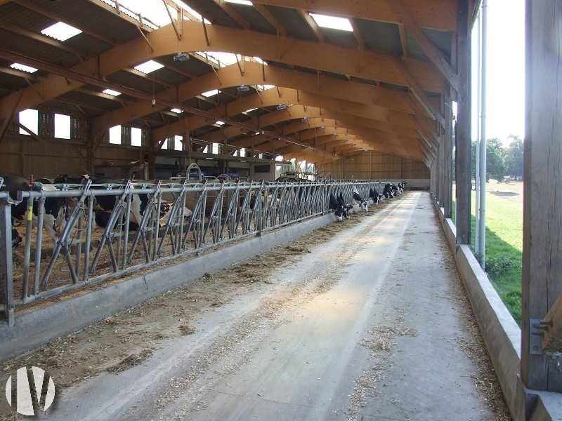 BRETAGNE. Belles prestations. Exploitation laitière automatisée sur 130 hectares - 