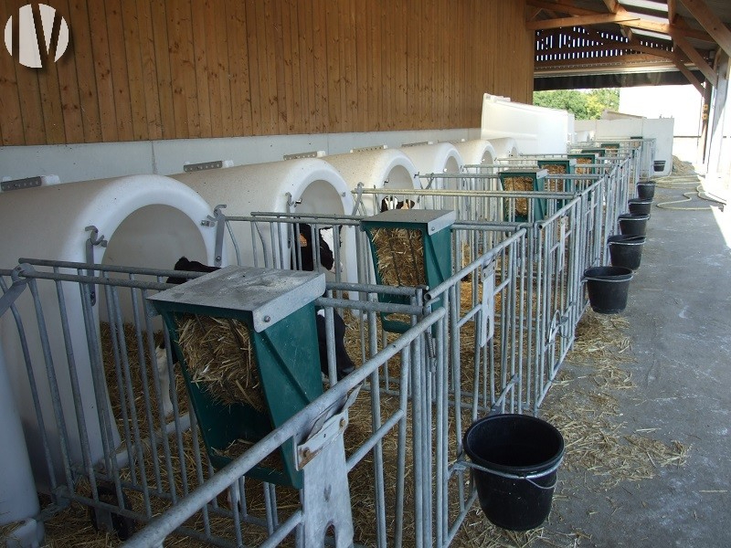 BRETAGNE. Belles prestations. Exploitation laitière automatisée sur 130 hectares - 