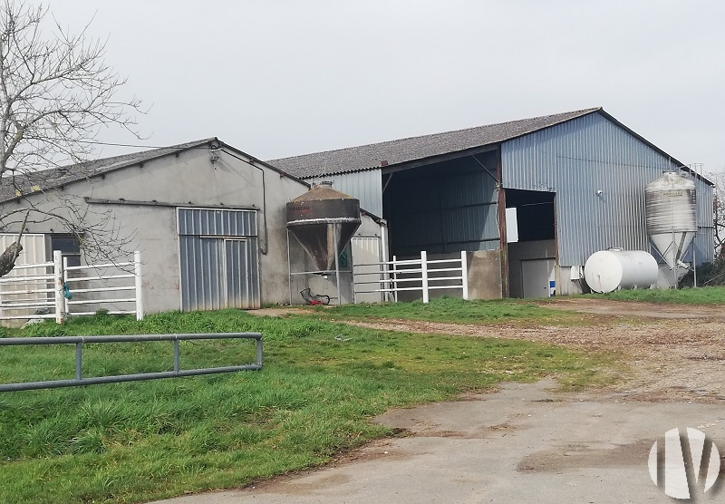 VIENNE. Propriété d’élevage de 32 hectares d’un seul tenant - 