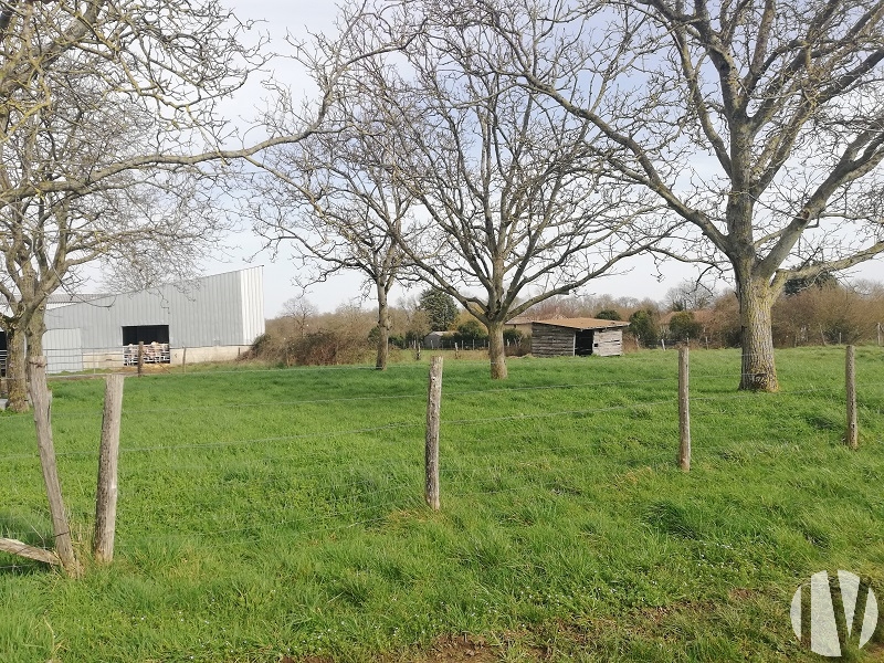 VIENNE. Propriété d’élevage de 32 hectares d’un seul tenant - 