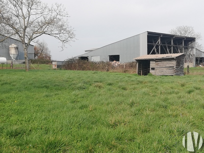 VIENNE. Propriété d’élevage de 32 hectares d’un seul tenant - 