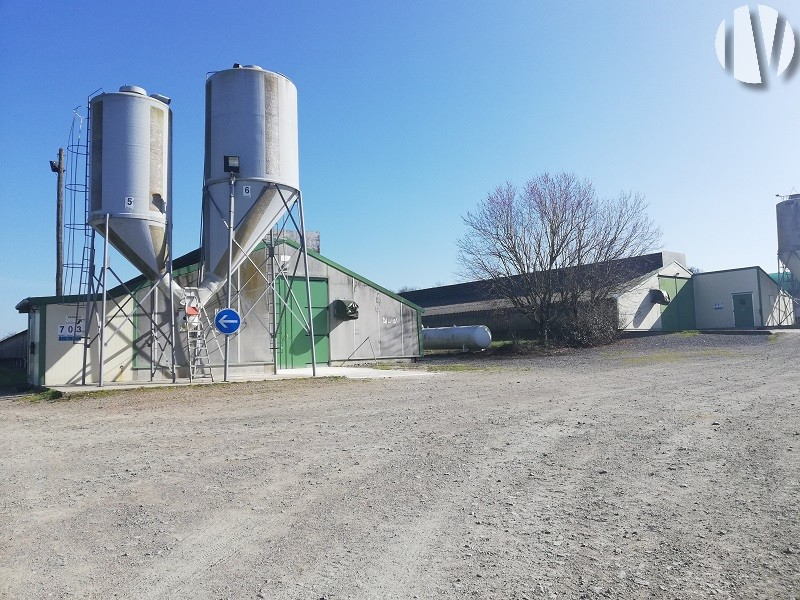 NORTH DEUX-SEVRES. Poultry 4200m² in integration, high profitability - 