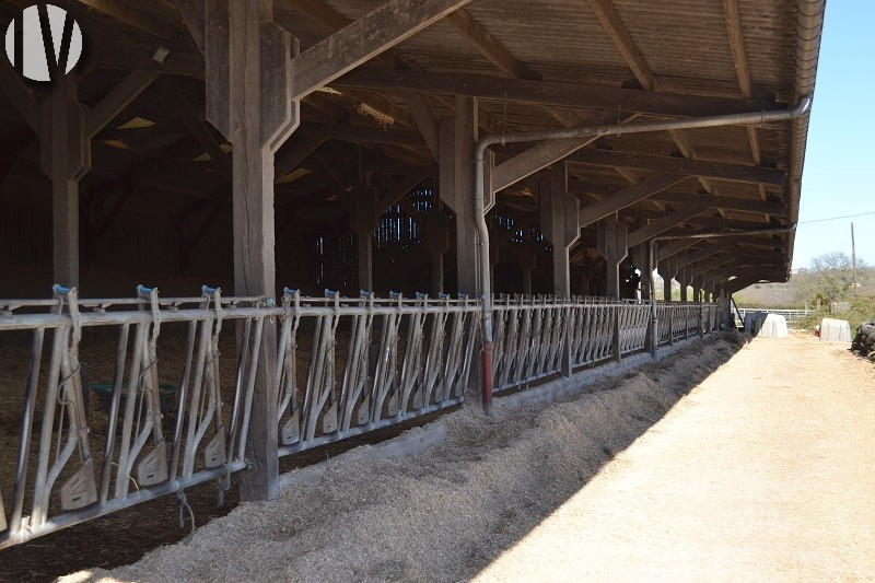 NORD MANCHE. Ferme laitière de 580 000 litres dans une région agricole dynamique - 