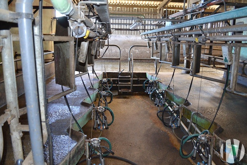 NORD-WEST MANCHE. 580,000 litre dairy farm in a dynamic agricultural area - 