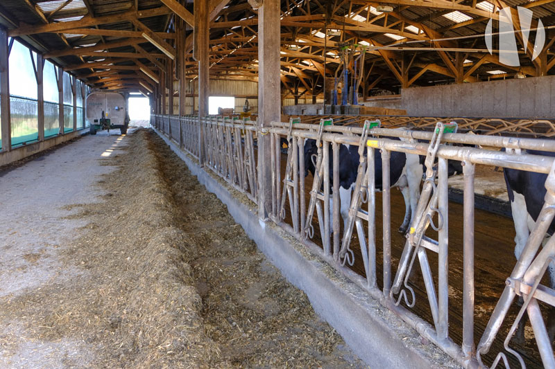 MORBIHAN. Beautiful recent and functional dairy site on 120 hectares - 