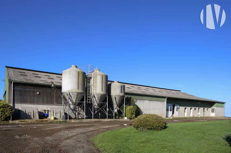 CENTRUM MORBIHAN. Mooi recent en functioneel melkveebedrijf op 120 hectare - 