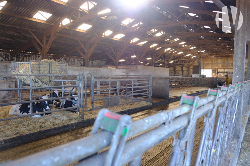 MORBIHAN. Beautiful recent and functional dairy site on 120 hectares - 