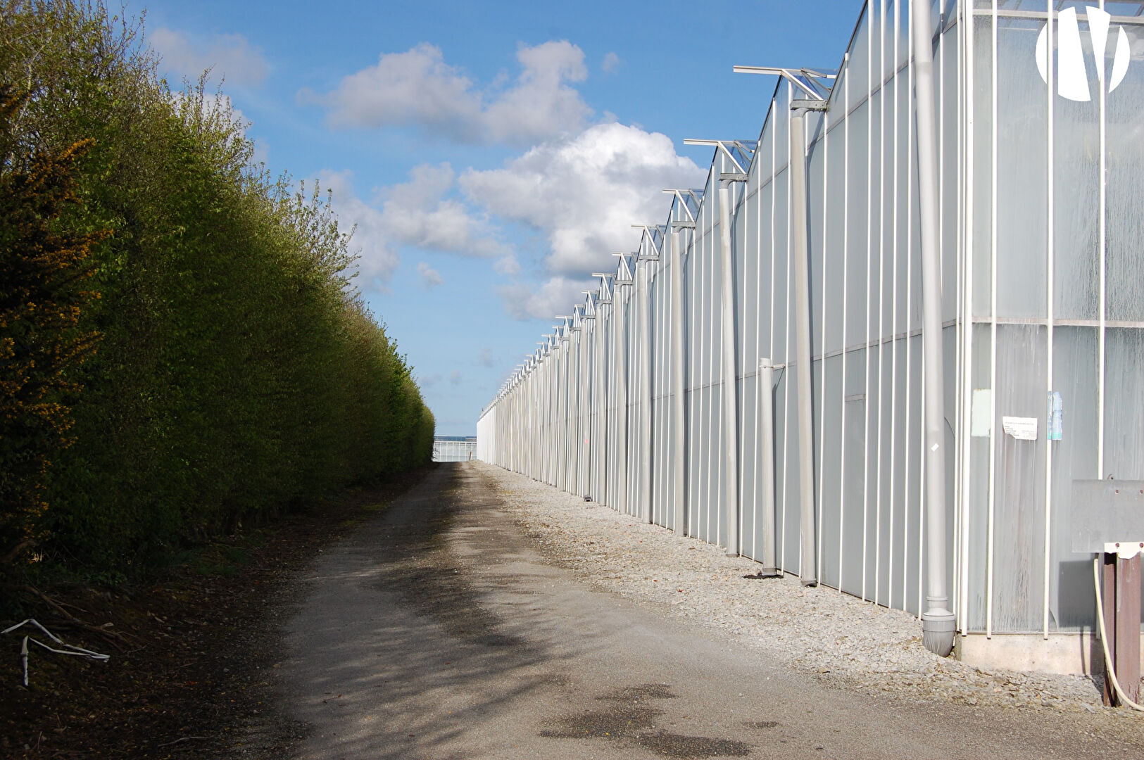 VENDU EN 2023 – FINISTERE, production de tomates sous serres, proche grande agglomération - 