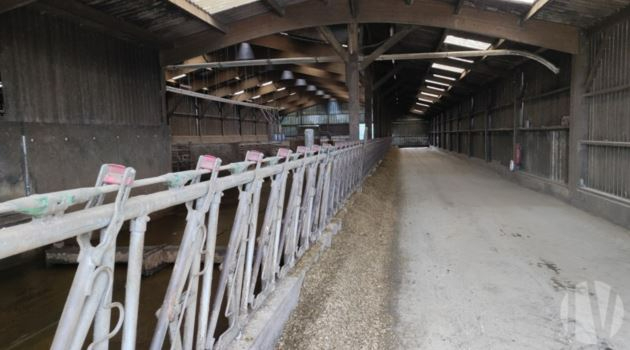 SOLD IN 2023. MORBIHAN. Dairy farm on 80 hectares - 