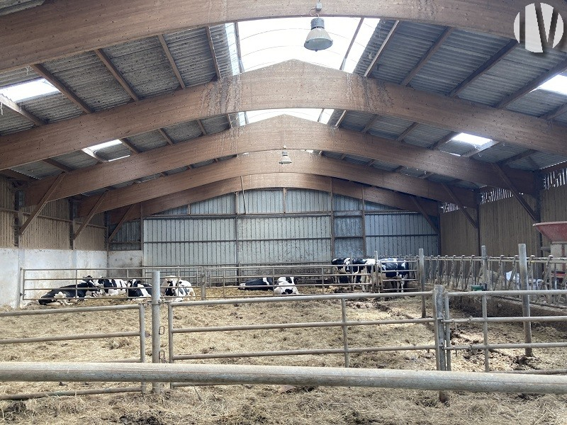 Loire-Atlantique, very nice dairy site 1,100,000 litres on 140 ha - 