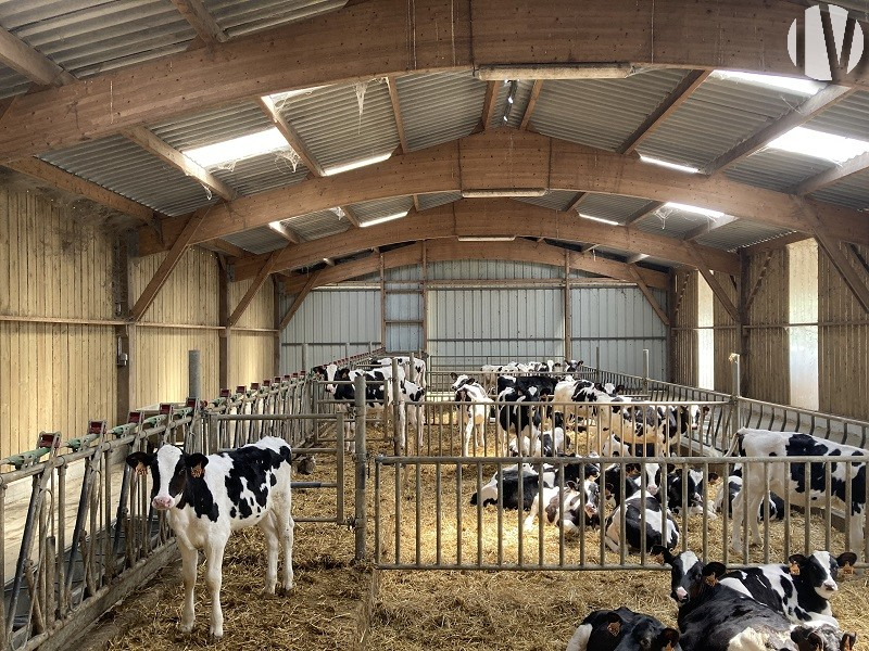 Loire-Atlantique, very nice dairy site 1,100,000 litres on 140 ha - 