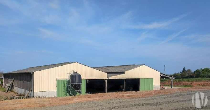 SOLD IN 2024 – MANCHE Dairy farm on 120 hectares - 