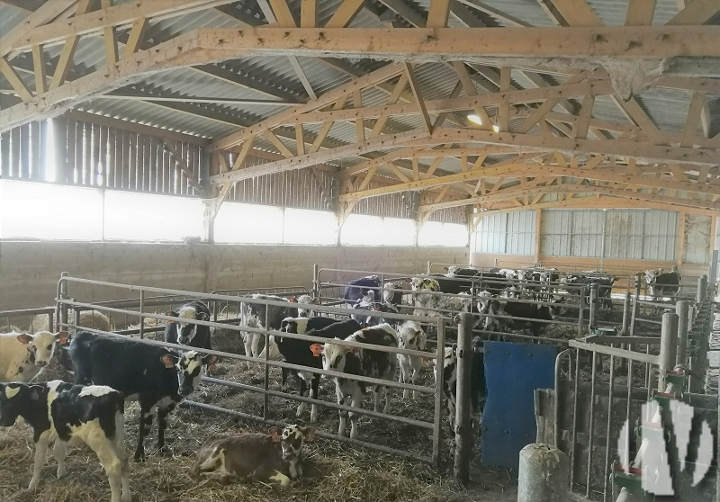 SOLD IN 2024 – MANCHE Dairy farm on 120 hectares - 