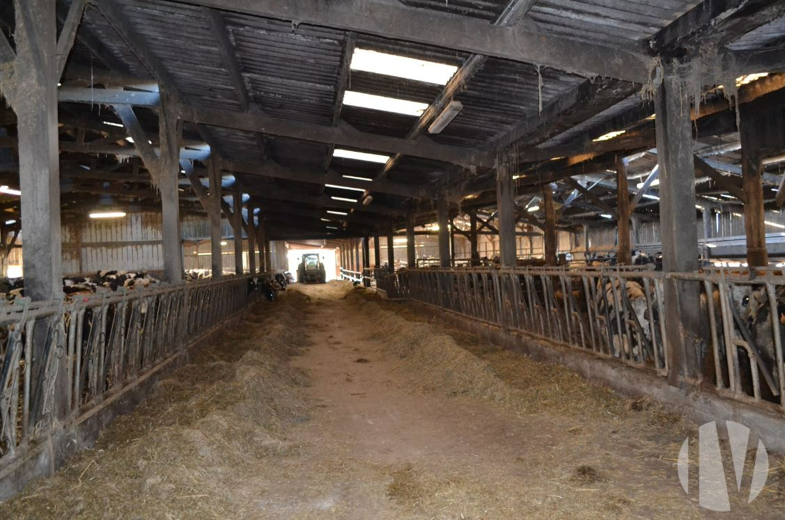 SOLD IN 2024 – MANCHE Dairy farm on 120 hectares - 