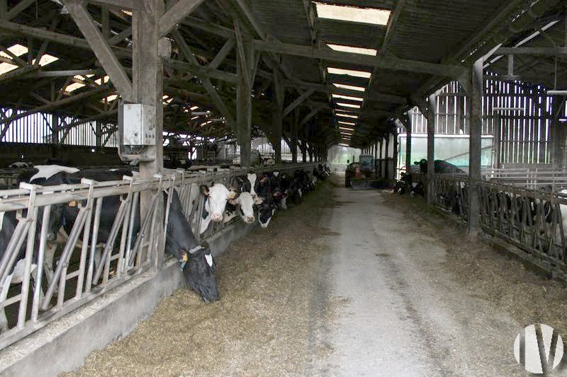 ILLE ET VILAINE: Dairy farm of 1 100 000 litres on 120 hectares - 