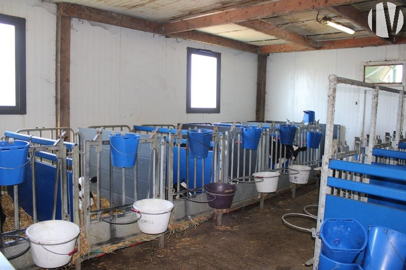 ILLE ET VILAINE: Dairy farm of 1 100 000 litres on 120 hectares - 