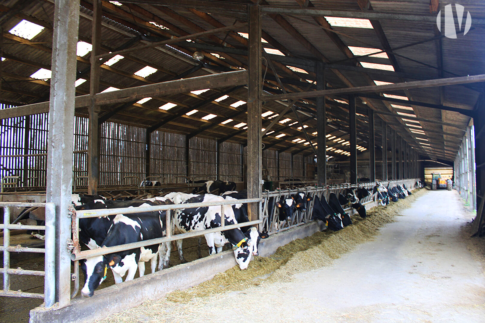 MORBIHAN: West of Pontivy, recent dairy site with 1,300,000 litres of milk on 120 ha - 