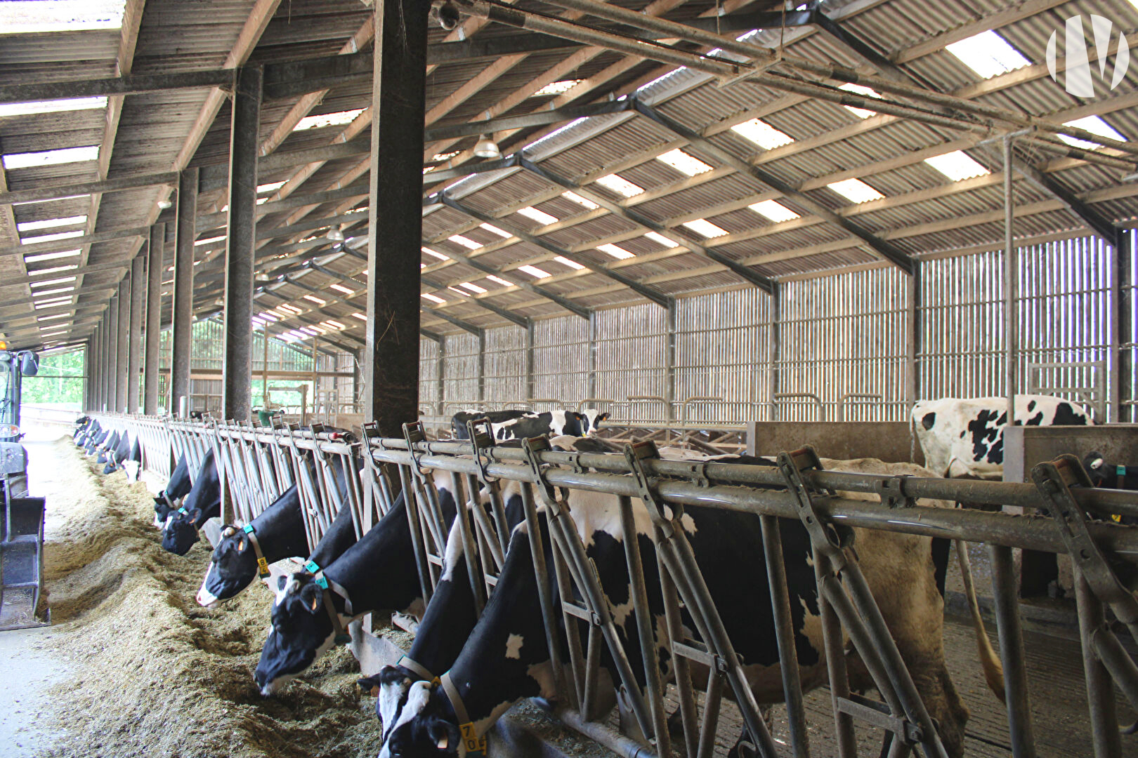 MORBIHAN: West of Pontivy, recent dairy site with 1,300,000 litres of milk on 120 ha - 