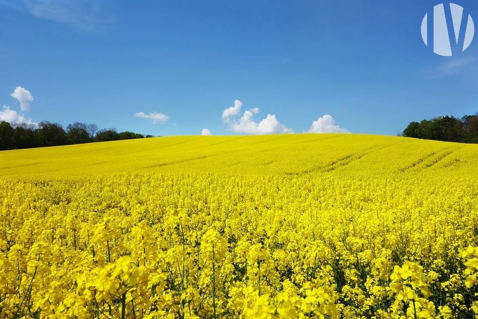 ILLE ET VILAINE – Gemengd bedrijf met agrotoeristische activiteit (gîtes) - 